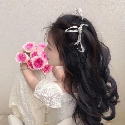 霸海怪侠