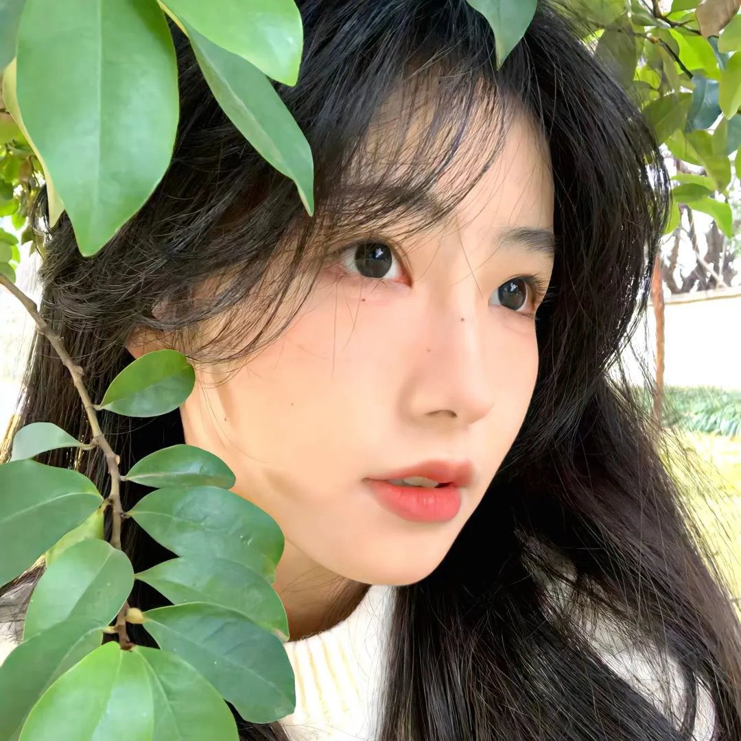 少林七崁